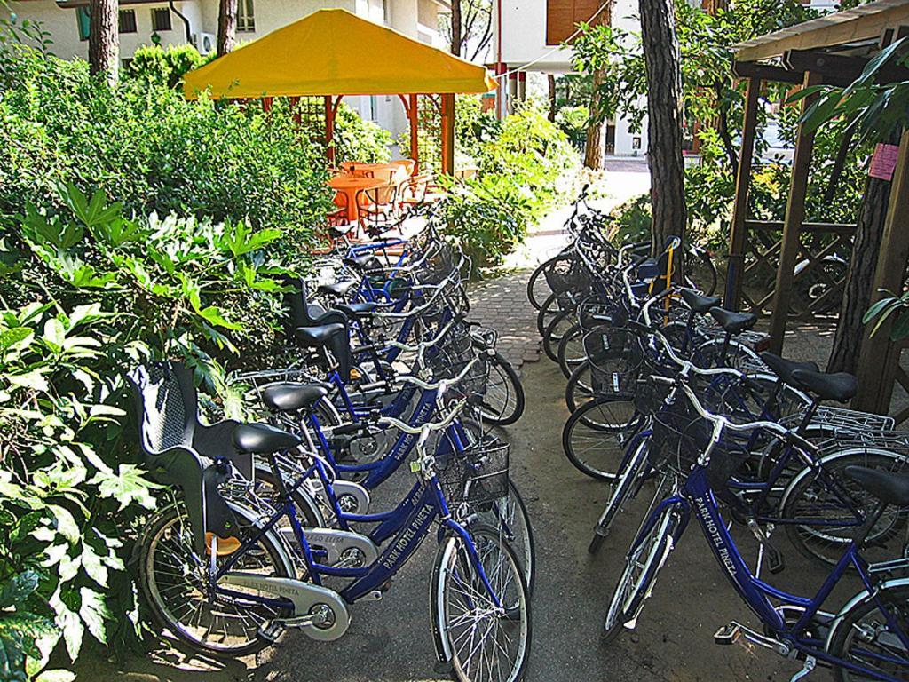 Hotel Park Pineta & Dependance 3*