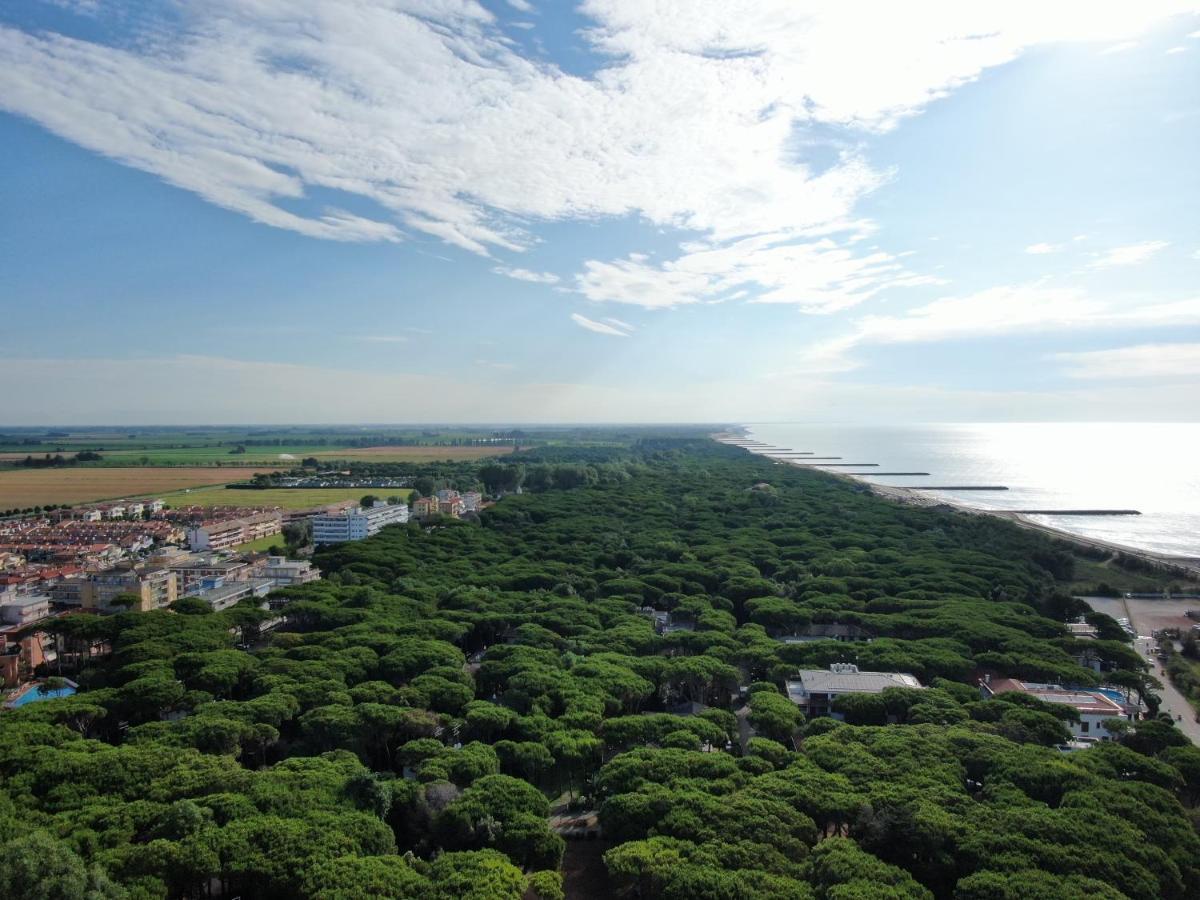Hotel Park Pineta&dependance 3*