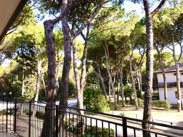 Park Pineta&dependance Hotel